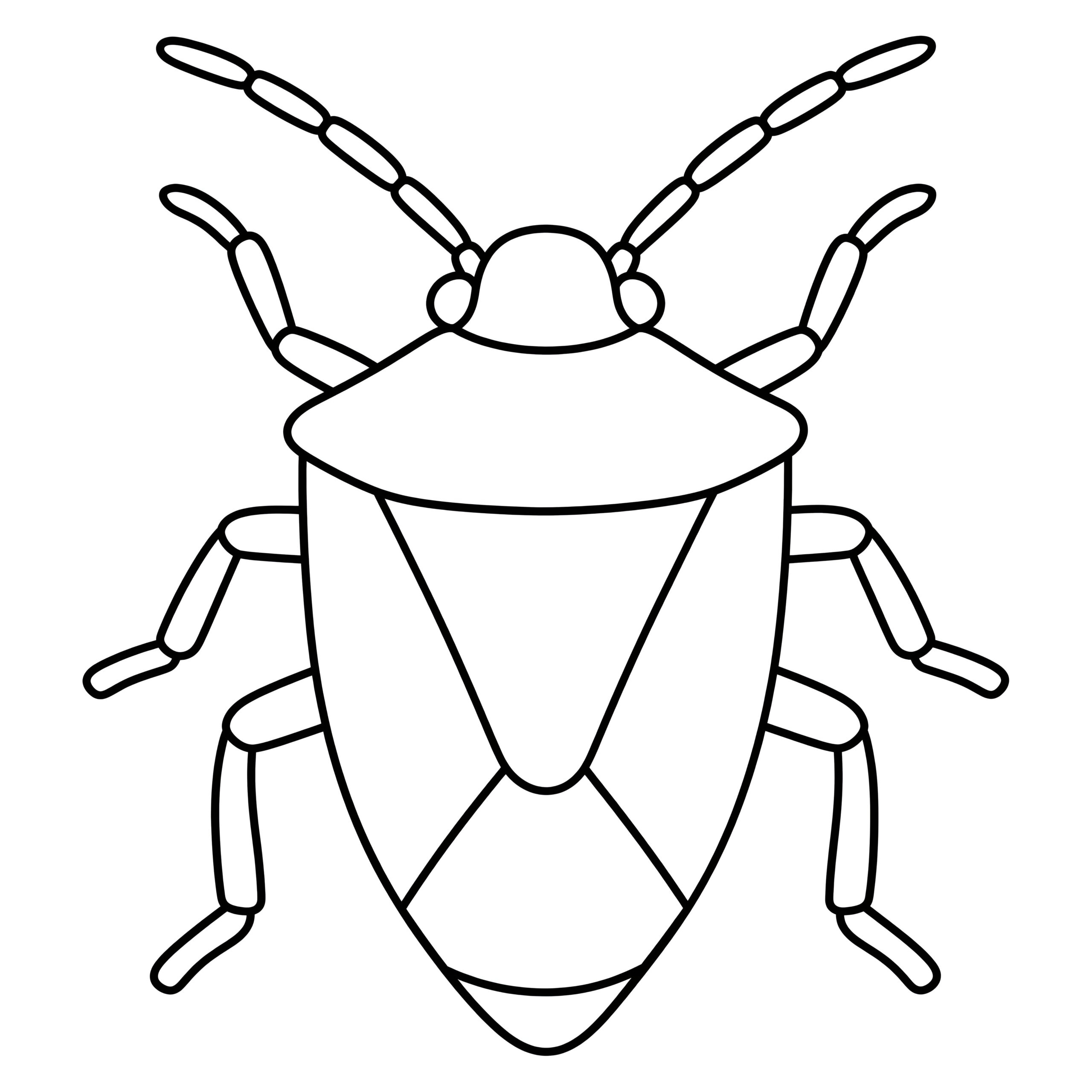 Beerenwanze Ausmalbild – Kostenlose Malvorlage zum Ausdrucken