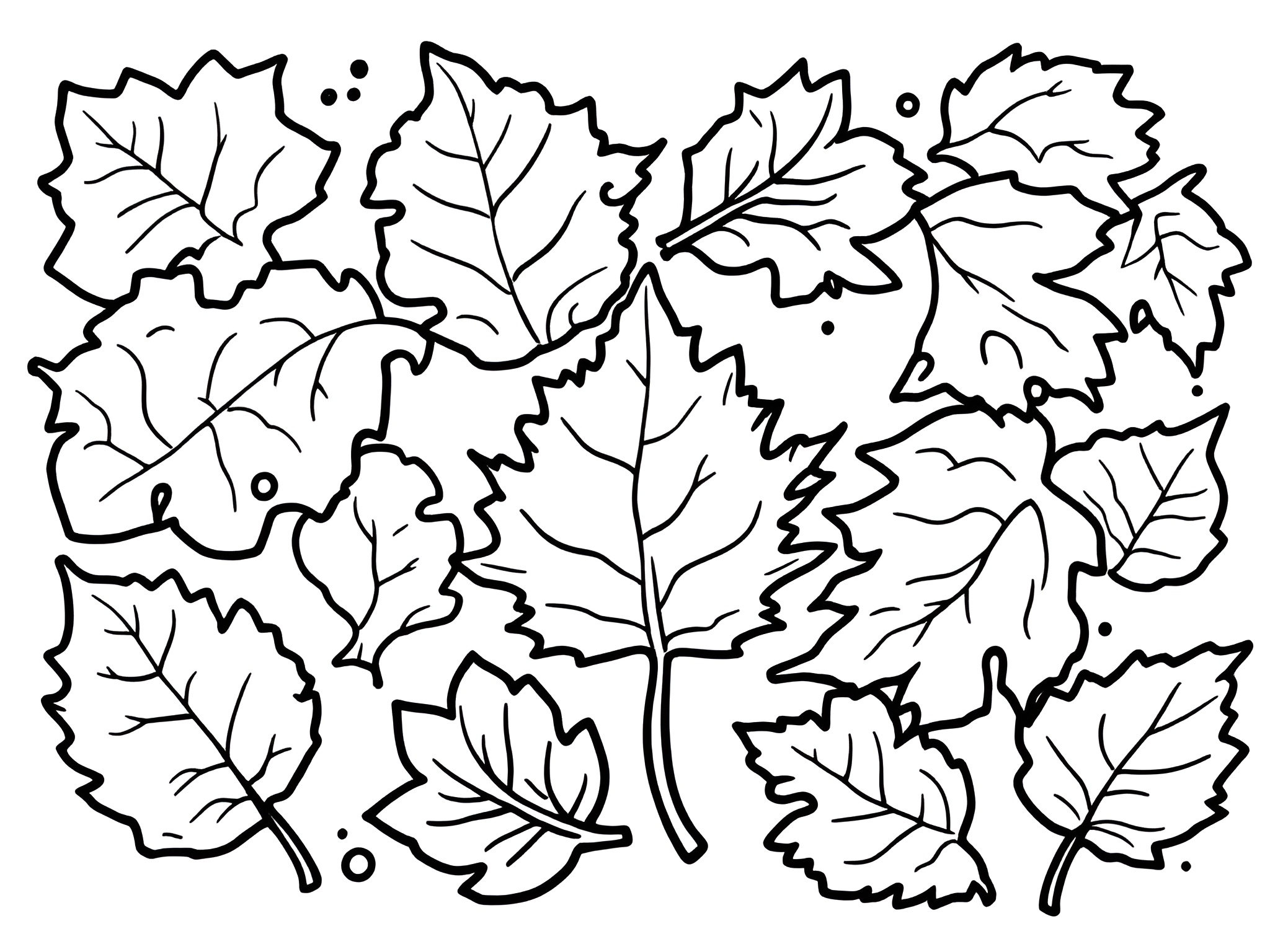 Ausmalbild Herbstlaub – Farbenfroher Blätterzauber für kleine Künstler! 🎨🍁 von MOWOLI