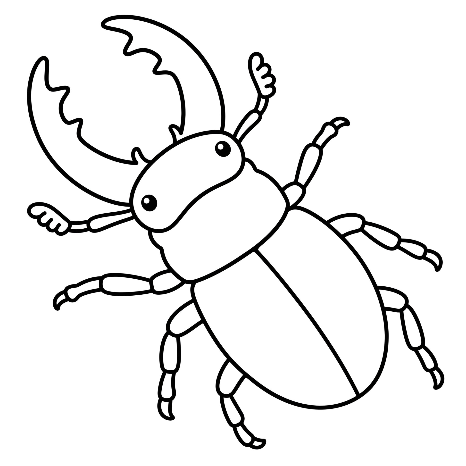 Hirschkäfer Ausmalbild kostenlos – Malvorlage zum Ausdrucken für Kinder von MOWOLI