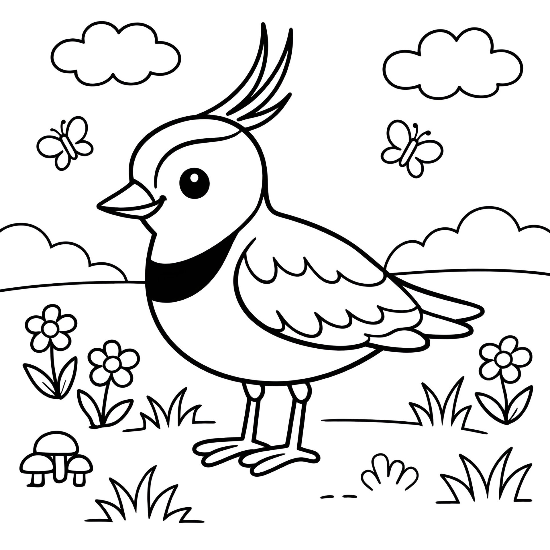 Kiebitz Ausmalbild kostenlos – Malvorlage zum Ausdrucken für Kinder von MOWOLI