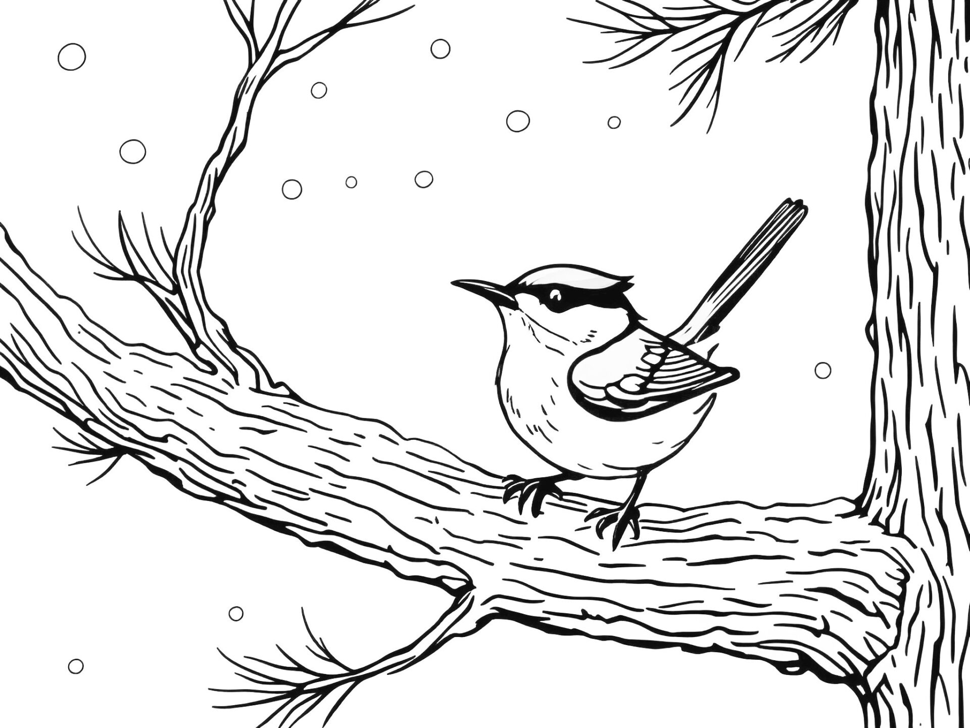 Ausmalbild Kleiber als Geschenk 🐦🌳 Naturnaher Malspaß für kleine Vogelfreunde von MOWOLI